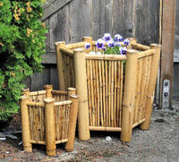 Hexagon Bamboo Planter